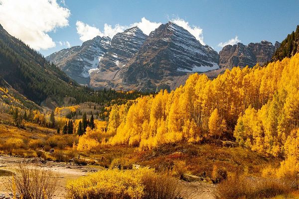 Ostrowitz, Mallorie 아티스트의 Maroon Bells-Snowmass Wilderness in Aspen-Colorado in autumn작품입니다.
